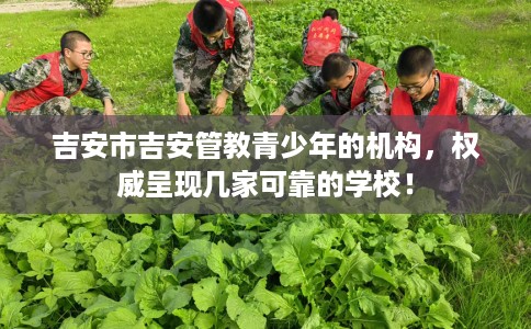 吉安市吉安管教青少年的机构,权威呈现几家可靠的学校! 吉安市吉安管教青少年的机构,权威呈现几家可靠的学校!