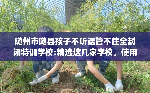 随州市随县孩子不听话管不住全封闭特训学校:精选这几家学校，使用无忧！
