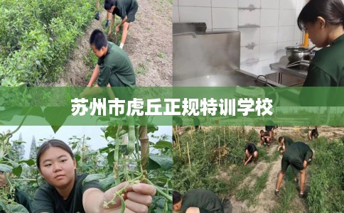 苏州市虎丘正规特训学校 苏州市虎丘正规特训学校