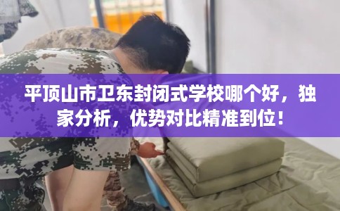 平顶山市卫东封闭式学校哪个好，独家分析，优势对比精准到位！