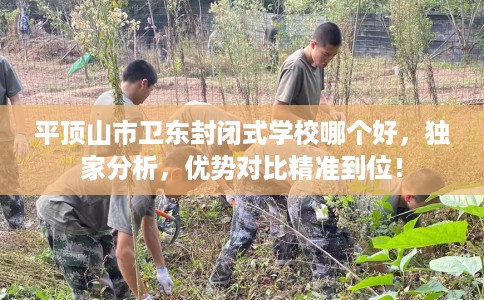 平顶山市卫东封闭式学校哪个好，独家分析，优势对比精准到位！