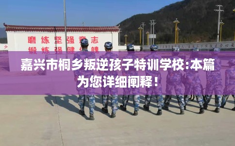 嘉兴市桐乡叛逆孩子特训学校:本篇为您详细阐释！