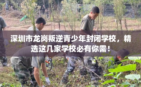 深圳市龙岗叛逆青少年封闭学校,精选这几家学校必有你需! 深圳市龙岗叛逆青少年封闭学校,精选这几家学校必有你需!