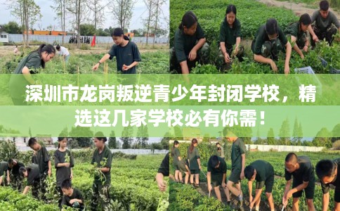 深圳市龙岗叛逆青少年封闭学校，精选这几家学校必有你需！