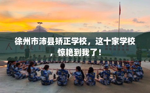 徐州市沛县矫正学校,这十家学校,惊艳到我了! 徐州市沛县矫正学校,这十家学校,惊艳到我了!