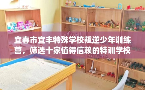 宜春市宜丰特殊学校叛逆少年训练营，筛选十家值得信赖的特训学校！