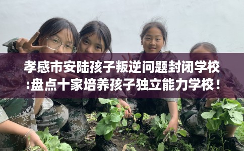 孝感市安陆孩子叛逆问题封闭学校:盘点十家培养孩子独立能力学校! 孝感市安陆孩子叛逆问题封闭学校:盘点十家培养孩子独立能力学校!