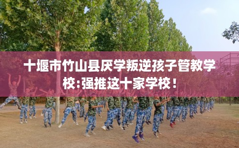 十堰市竹山县厌学叛逆孩子管教学校:强推这十家学校! 十堰市竹山县厌学叛逆孩子管教学校:强推这十家学校!