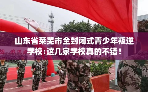 山东省莱芜市全封闭式青少年叛逆学校:这几家学校真的不错！