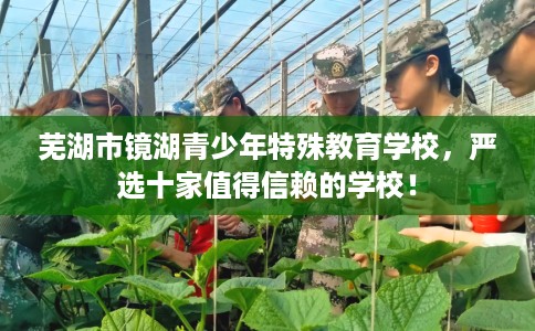 芜湖市镜湖青少年特殊教育学校,严选十家值得信赖的学校! 芜湖市镜湖青少年特殊教育学校,严选十家值得信赖的学校!