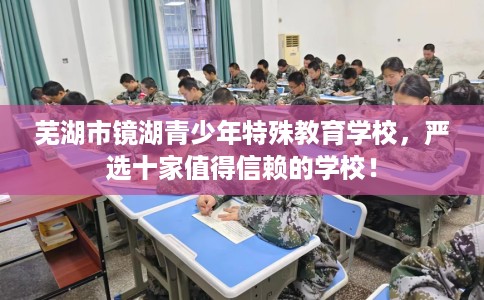 芜湖市镜湖青少年特殊教育学校，严选十家值得信赖的学校！