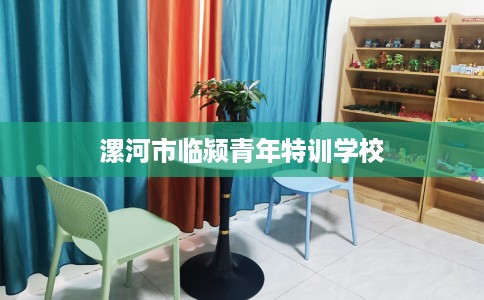 漯河市临颍青年特训学校 漯河市临颍青年特训学校