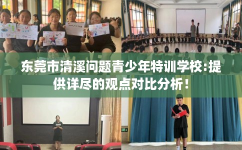 东莞市清溪问题青少年特训学校:提供详尽的观点对比分析！
