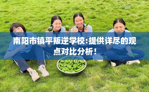 南阳市镇平叛逆学校:提供详尽的观点对比分析！