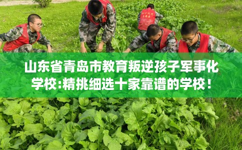 山东省青岛市教育叛逆孩子军事化学校:精挑细选十家靠谱的学校！