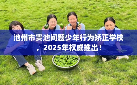 池州市贵池问题少年行为矫正学校,2025年权威推出! 池州市贵池问题少年行为矫正学校,2025年权威推出!