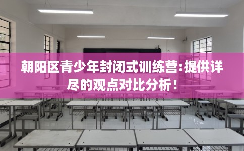 朝阳区青少年封闭式训练营:提供详尽的观点对比分析！