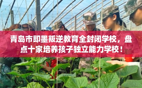 青岛市即墨叛逆教育全封闭学校，盘点十家培养孩子独立能力学校！