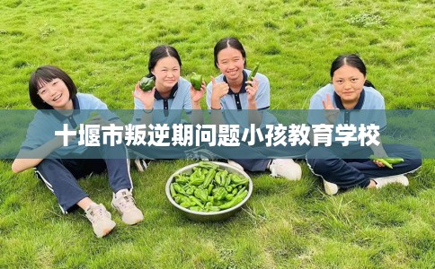 十堰市叛逆期问题小孩教育学校
