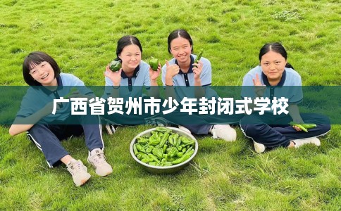 广西省贺州市少年封闭式学校 广西省贺州市少年封闭式学校