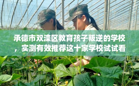 承德市双滦区教育孩子叛逆的学校，实测有效推荐这十家学校试试看！