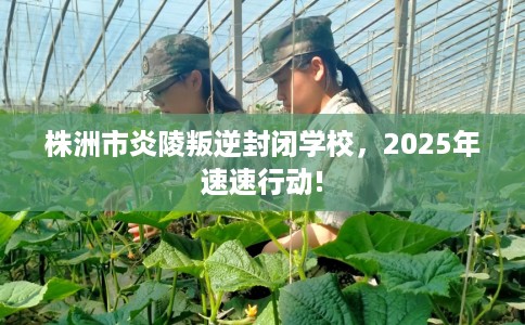 株洲市炎陵叛逆封闭学校,2025年速速行动! 株洲市炎陵叛逆封闭学校,2025年速速行动!