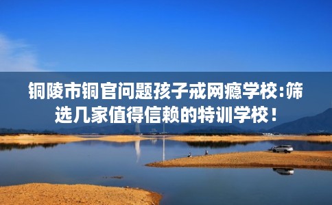 铜陵市铜官问题孩子戒网瘾学校:筛选几家值得信赖的特训学校！