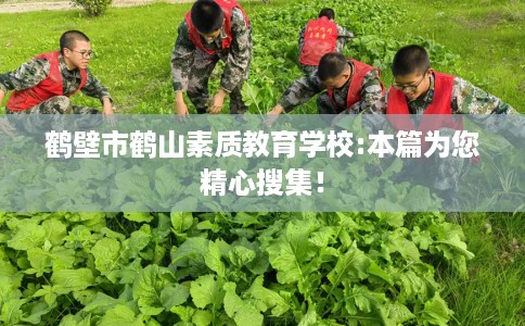 鹤壁市鹤山素质教育学校:本篇为您精心搜集！