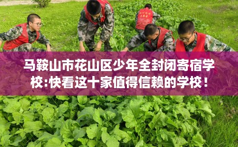 马鞍山市花山区少年全封闭寄宿学校:快看这十家值得信赖的学校！