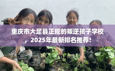 重庆市大足县正规的叛逆孩子学校，2025年最新排名推荐!