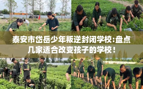 泰安市岱岳少年叛逆封闭学校:盘点几家适合改变孩子的学校！