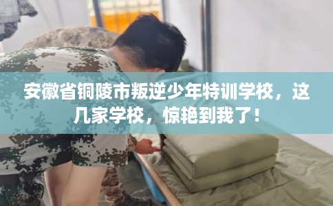 安徽省铜陵市叛逆少年特训学校，这几家学校，惊艳到我了！