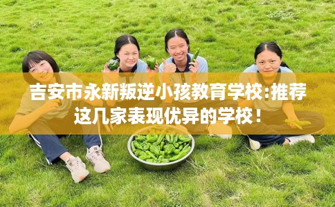 吉安市永新叛逆小孩教育学校:推荐这几家表现优异的学校! 吉安市永新叛逆小孩教育学校:推荐这几家表现优异的学校!