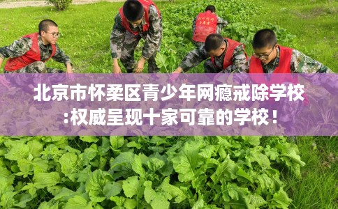 北京市怀柔区青少年网瘾戒除学校:权威呈现十家可靠的学校！