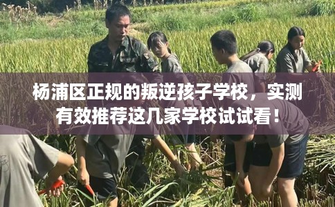 杨浦区正规的叛逆孩子学校,实测有效推荐这几家学校试试看! 杨浦区正规的叛逆孩子学校,实测有效推荐这几家学校试试看!