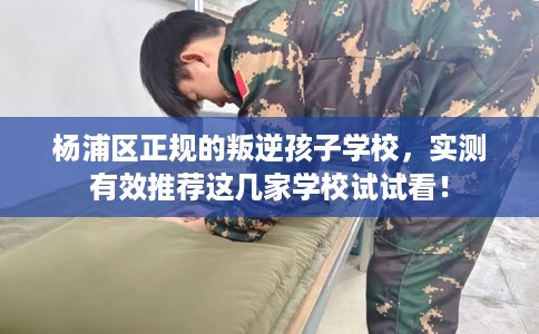 杨浦区正规的叛逆孩子学校，实测有效推荐这几家学校试试看！