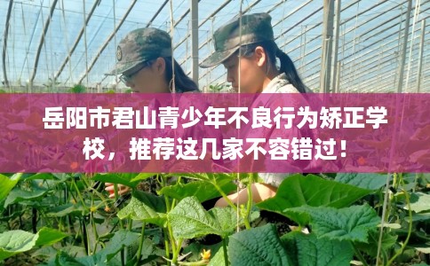 岳阳市君山青少年不良行为矫正学校，推荐这几家不容错过！