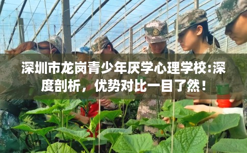 深圳市龙岗青少年厌学心理学校:深度剖析，优势对比一目了然！