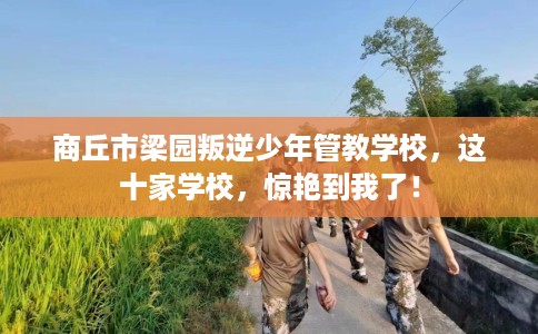 商丘市梁园叛逆少年管教学校,这十家学校,惊艳到我了! 商丘市梁园叛逆少年管教学校,这十家学校,惊艳到我了!