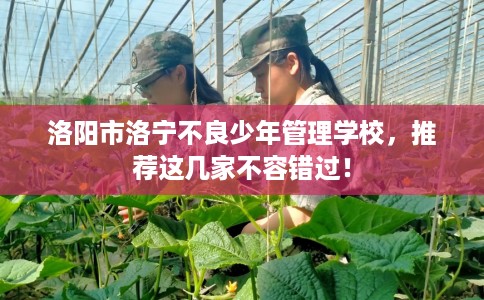 洛阳市洛宁不良少年管理学校，推荐这几家不容错过！