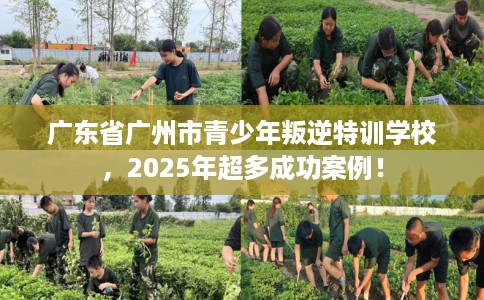 广东省广州市青少年叛逆特训学校，2025年超多成功案例！