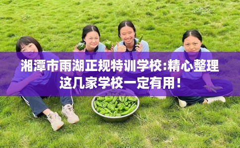 湘潭市雨湖正规特训学校:精心整理这几家学校一定有用! 湘潭市雨湖正规特训学校:精心整理这几家学校一定有用!