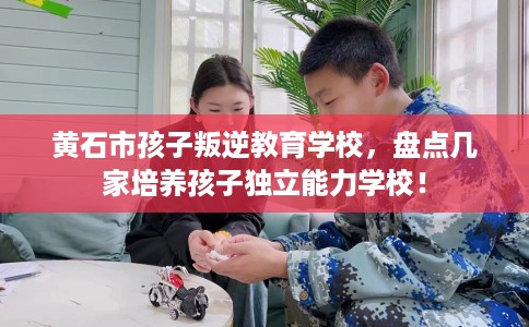 黄石市孩子叛逆教育学校，盘点几家培养孩子独立能力学校！