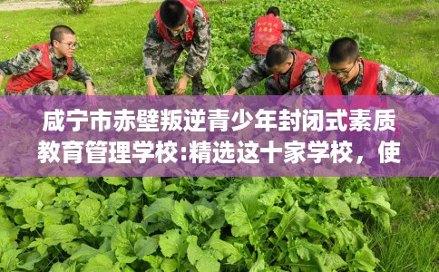 咸宁市赤壁叛逆青少年封闭式素质教育管理学校:精选这十家学校，使用无忧！