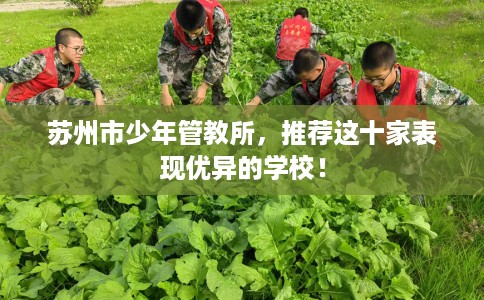 苏州市少年管教所,推荐这十家表现优异的学校! 苏州市少年管教所,推荐这十家表现优异的学校!