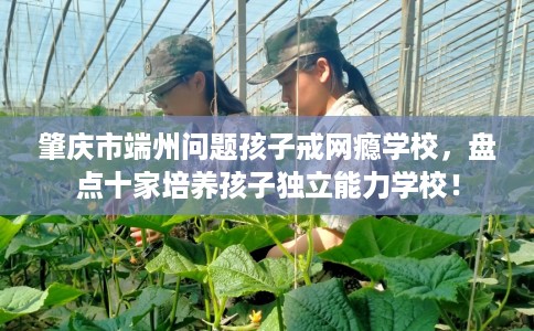 肇庆市端州问题孩子戒网瘾学校,盘点十家培养孩子独立能力学校! 肇庆市端州问题孩子戒网瘾学校,盘点十家培养孩子独立能力学校!