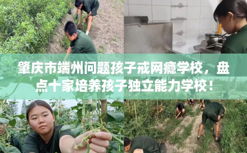肇庆市端州问题孩子戒网瘾学校,盘点十家培养孩子独立能力学校! 肇庆市端州问题孩子戒网瘾学校,盘点十家培养孩子独立能力学校!