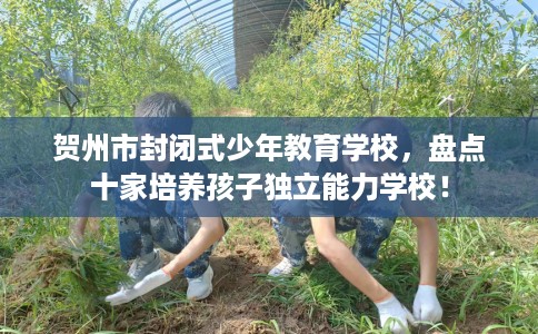 贺州市封闭式少年教育学校，盘点十家培养孩子独立能力学校！