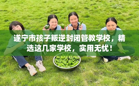 遂宁市孩子叛逆封闭管教学校,精选这几家学校,实用无忧! 遂宁市孩子叛逆封闭管教学校,精选这几家学校,实用无忧!