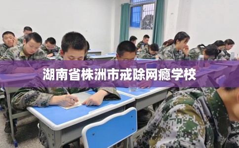 湖南省株洲市戒除网瘾学校 湖南省株洲市戒除网瘾学校